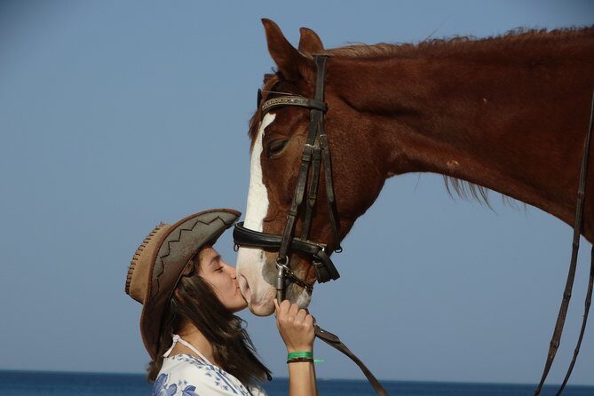 Horse Riding One hour At Amazing Desert With Transfer - Hurghada - The Sum Up