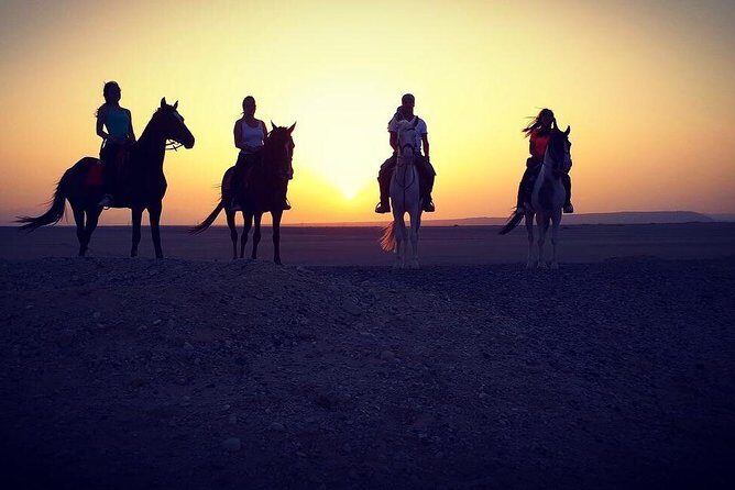 Horse Riding One Hour at Desert With Transfer - Sharm El Sheikh - Key Points