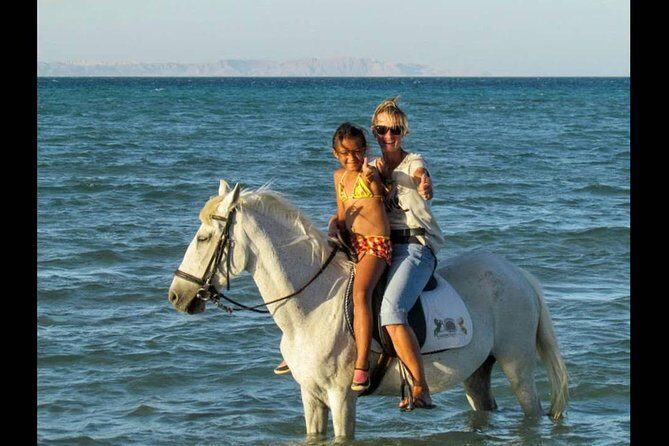 Horse Riding One Hour at Desert With Transfer - Sharm El Sheikh - Practical Details and Considerations