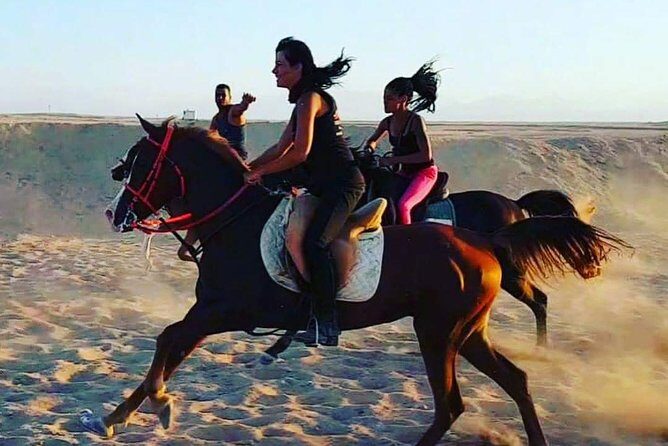 Horse Riding One Hour at Desert With Transfer - Sharm El Sheikh - Frequently Asked Questions