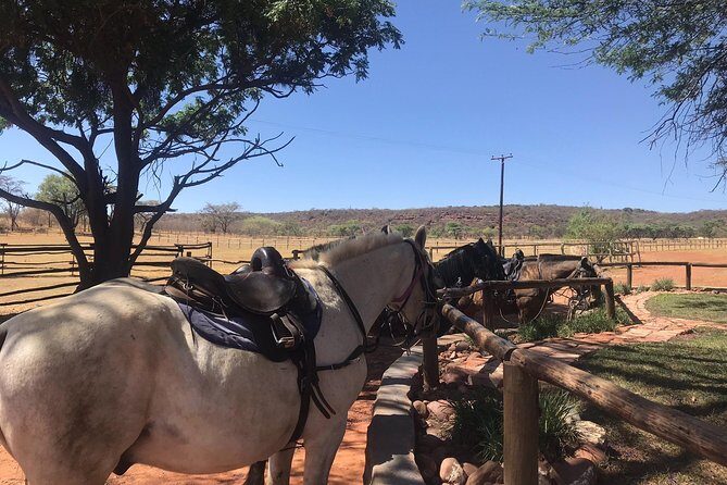 Horse riding safari from Johannesburg - Final Thoughts: Is This Tour Worth It?