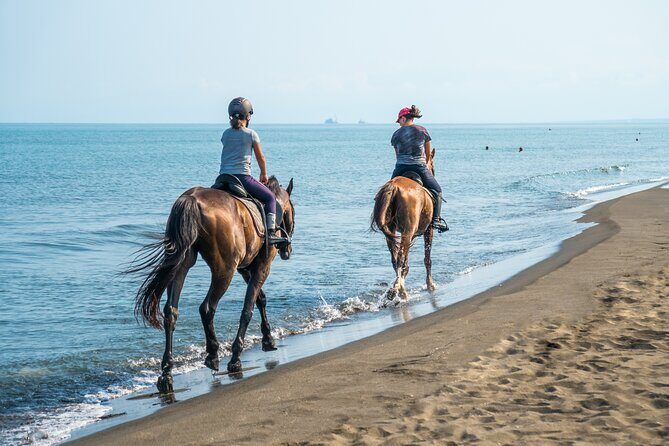 Horse Riding & Swimming Experience in the Sea & Desert - Hurghada - Horse Riding & Swimming Experience in the Sea & Desert - Hurghada