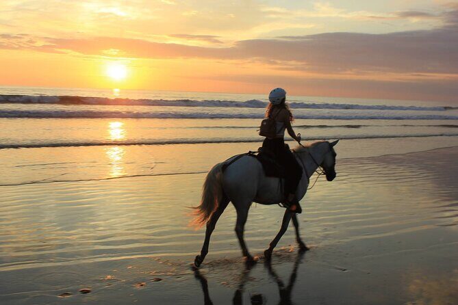 Horse Riding & Swimming Experience in the Sea & Desert - Hurghada - Key Points