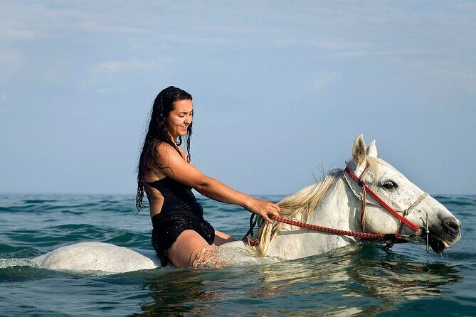 Horse Riding & Swimming Experience in the Sea & Desert - Hurghada - The Sum Up