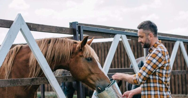 horse-riding-through-the-valleys-lunch