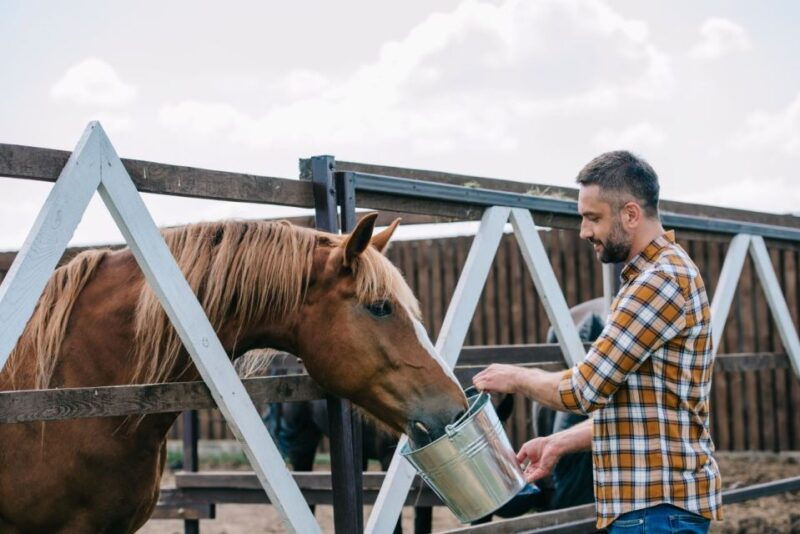 horse-riding-through-the-valleys-lunch