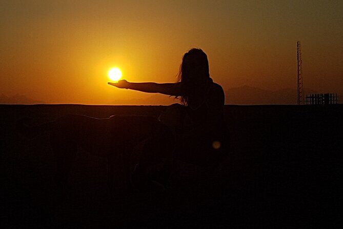 Horse Riding Tour 2 Hours Sea And Desert with Transfer - Hurghada - Key Points