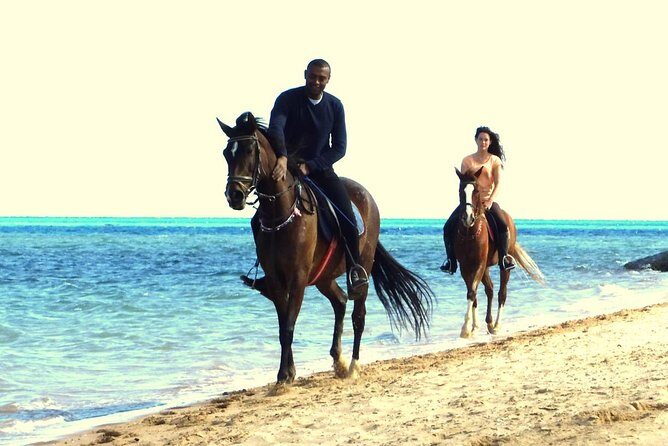 Horse Riding Tour 2 Hours Sea And Desert with Transfer - Hurghada - FAQ