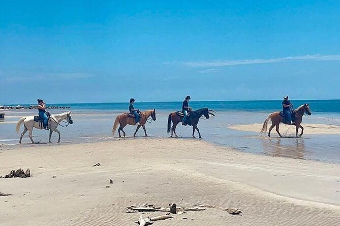 horse-riding-tour-at-the-beach-in-miami