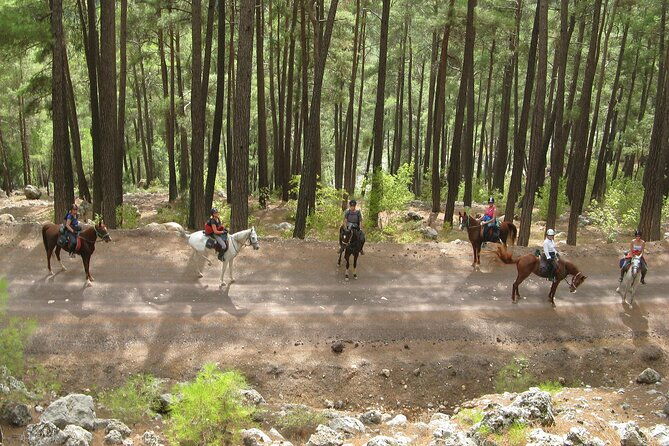 horse-riding-tour-in-bodrum-with-hotel-pick-up