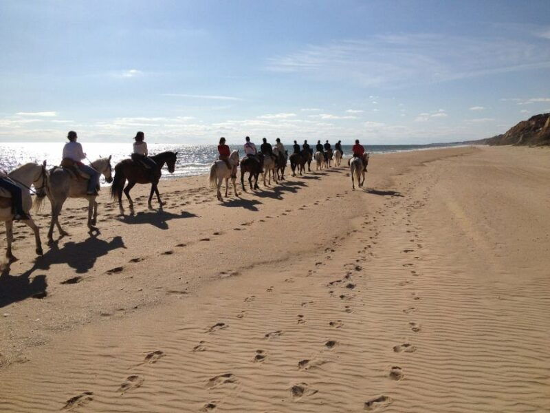 horse-riding-tour-in-donana-national-park