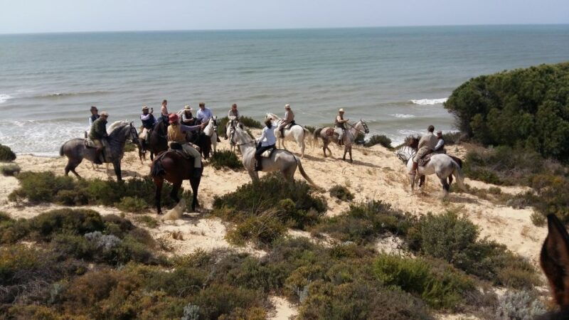 horse-riding-tour-in-donana-national-park