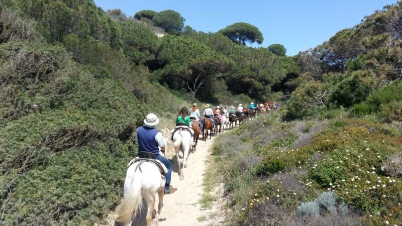horse-riding-tour-in-donana-national-park