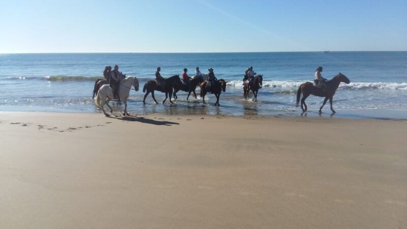 horse-riding-tour-in-donana-national-park