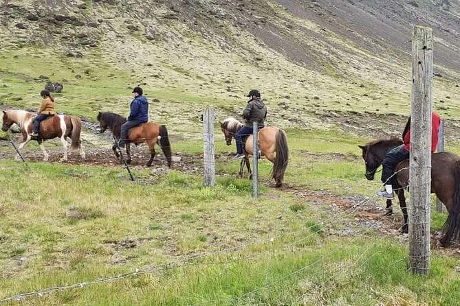 Horse Riding Tour in Reykjadalur (Smoky Valley)-All Riding Levels - Key Points