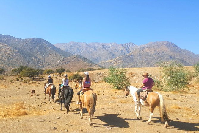 horse-riding-tour-in-the-andes-santiago-chile