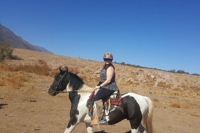 horse-riding-tour-in-the-andes-santiago-chile