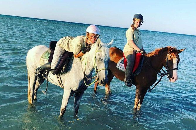 Horse Riding Tour Two Hours Sun & Sea With Transfer - Hurghada - Who Should Consider This Tour?