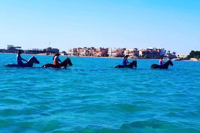 Horse Riding Tour Two Hours Sun & Sea With Transfer - Hurghada - FAQ