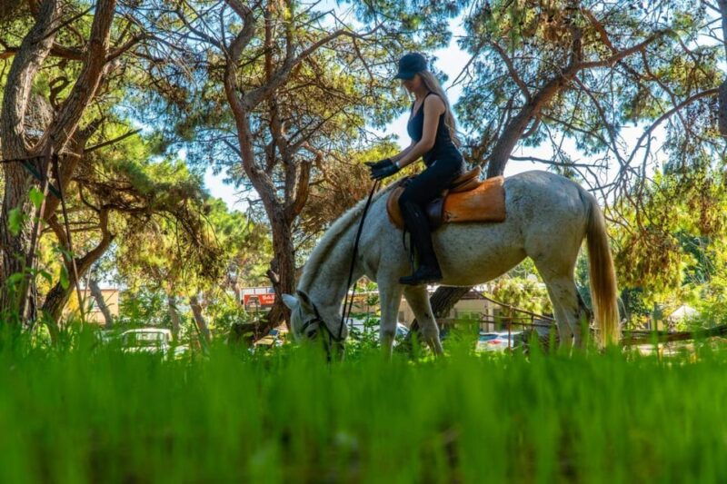 horse-riding-tour-with-hotel-transfers