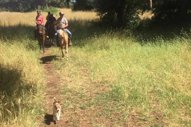 horse-riding-trail-with-breakfast-in-ancient-rome