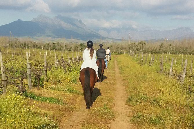 Horse Riding Wildlife Safari - The Experience: What You Can Expect