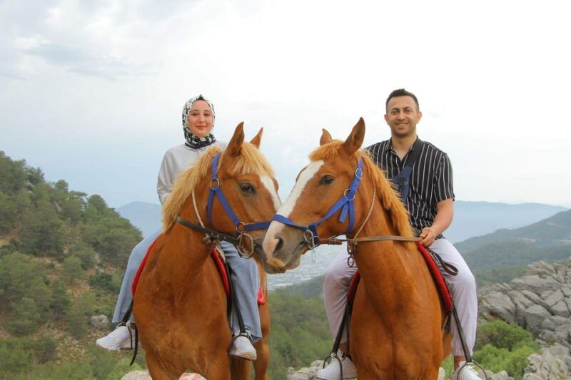 horse-safari