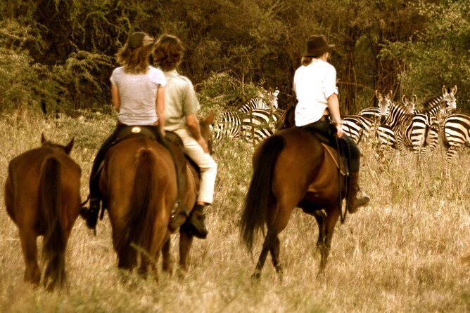 Horse safaris in Tanzania - Who Is This Tour Best For?