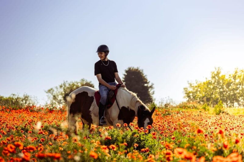 horse-sanctuary-in-rome