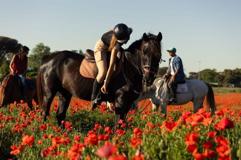 horse-sanctuary-in-rome