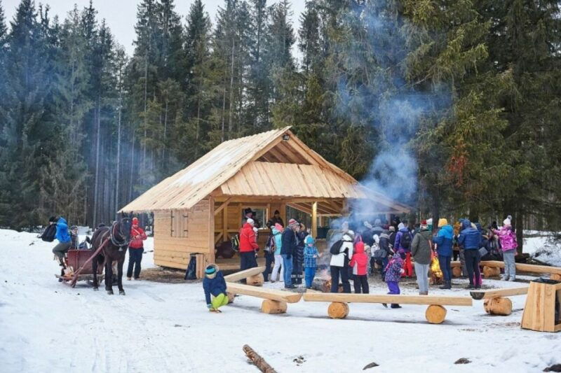 horse-sleigh-2-3h-ride-with-hot-springs-or-zakopane-combos