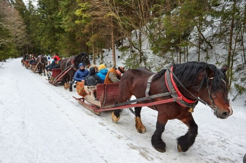 horse-sleigh-2-3h-ride-with-hot-springs-or-zakopane-combos