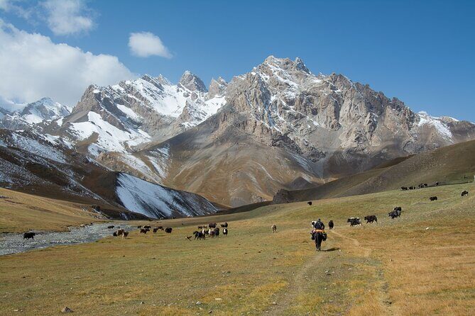 Horse Trek to Kel Suu Lake - Authentic Experiences and Genuine Hospitality