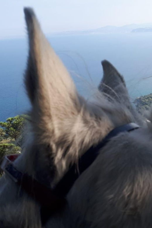 horseback-excursion-in-the-maddalena-woods