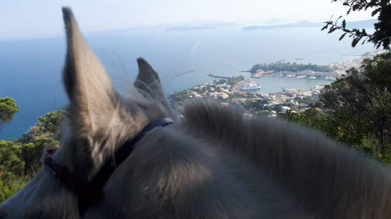 horseback-excursion-in-the-maddalena-woods