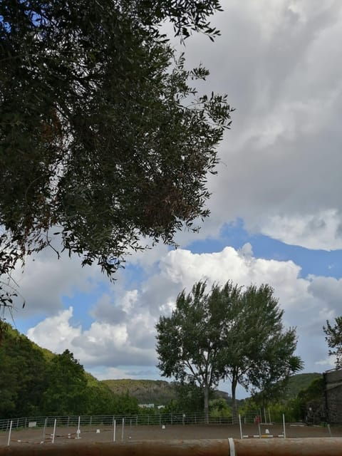 horseback-excursion-in-the-maddalena-woods