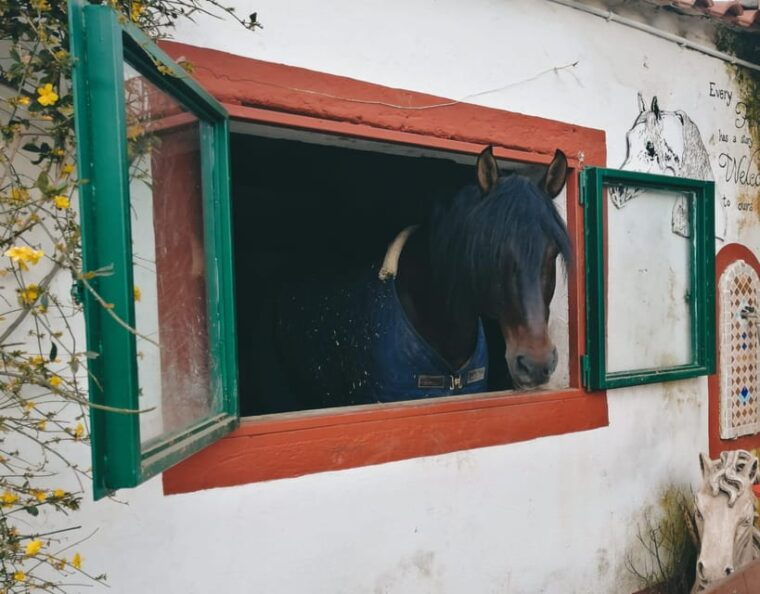 horseback-excursion-in-the-maddalena-woods