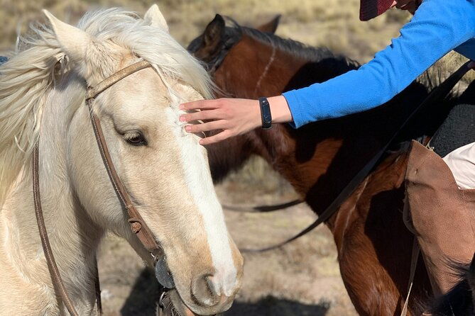 horseback-expedition-to-the-andes-2-days-sleep-in-the-heart-of-the-mountain