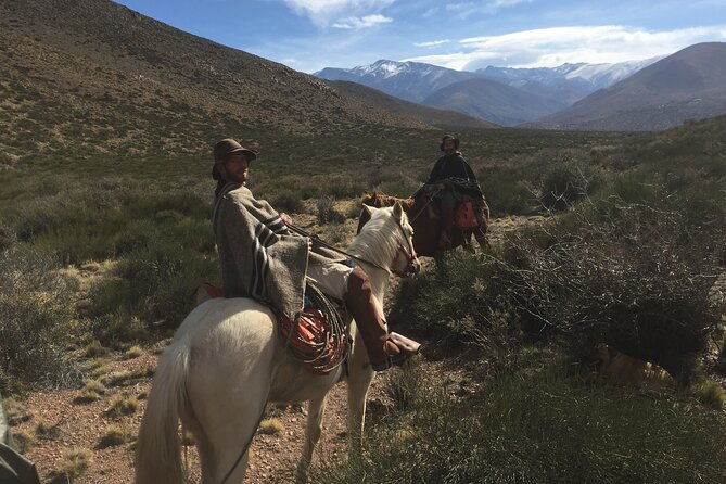 horseback-expedition-to-the-andes-2-days-sleep-in-the-heart-of-the-mountain