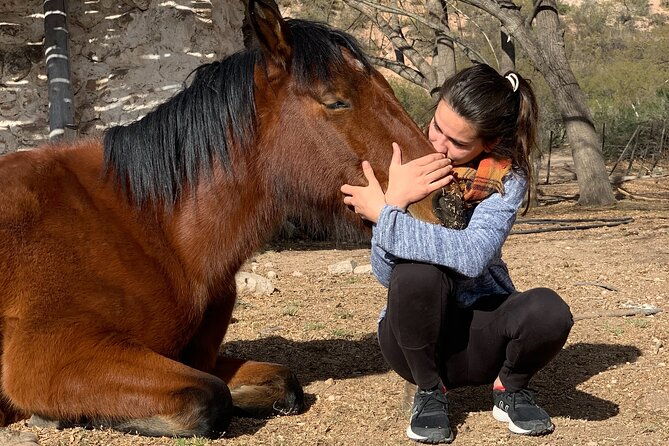 horseback-expedition-to-the-andes-2-days-sleep-in-the-heart-of-the-mountain