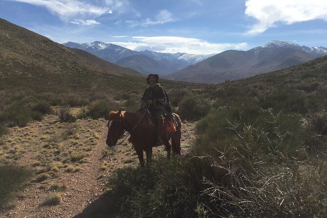horseback-expedition-to-the-andes-2-days-sleep-in-the-heart-of-the-mountain