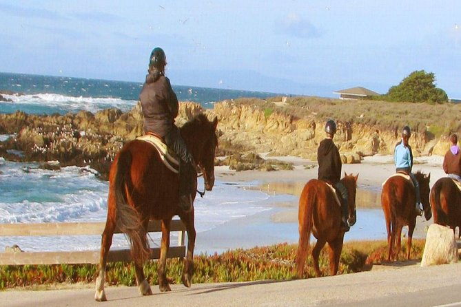 horseback-ride-alcatraz-prison-tickets