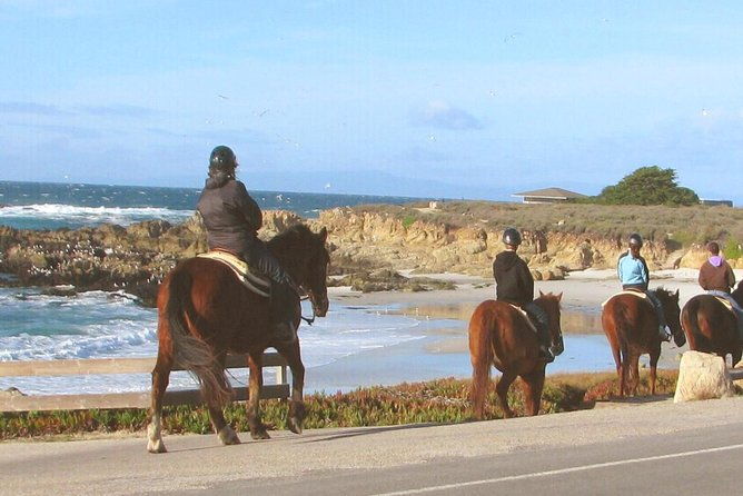 horseback-ride-alcatraz-prison-tickets