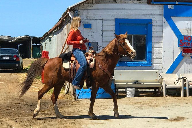 horseback-ride-alcatraz-prison-tickets