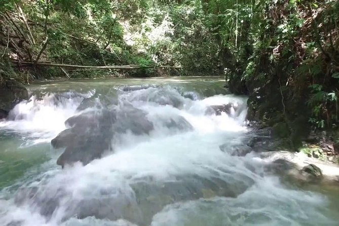 horseback-ride-and-mayfield-falls-combo-from-negril