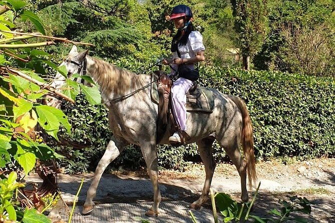 horseback-ride-and-poolside-day-chillout-with-tuscan-lunch