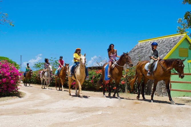 horseback-ride-and-swim-adventure-tour-from-ocho-rios