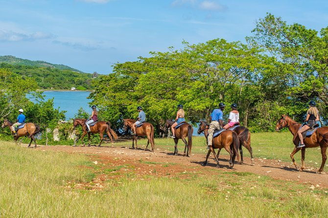 horseback-ride-and-swim-from-ocho-rios