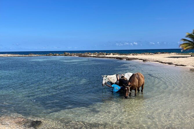 horseback-ride-and-swim-guided-tour-from-montego-bay