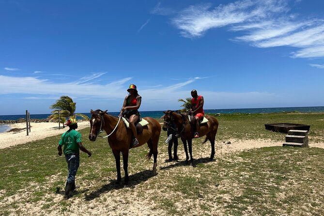 horseback-ride-and-swim-guided-tour-from-montego-bay